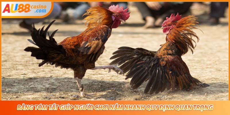 Bảng tóm tắt giúp người chơi nắm nhanh quy định quan trọng