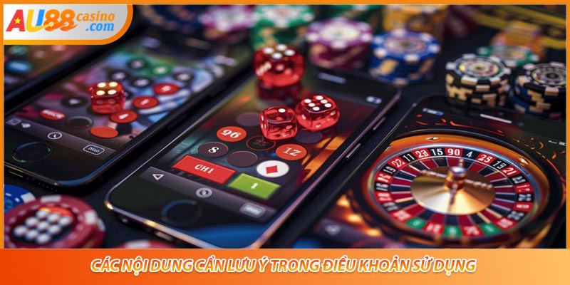 Các nội dung cần lưu ý trong điều khoản sử dụng