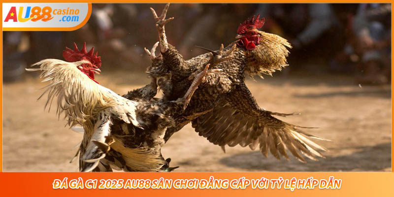 Đá Gà C1 2025 AU88 Sân Chơi Đẳng Cấp Với Tỷ Lệ Hấp Dẫn
